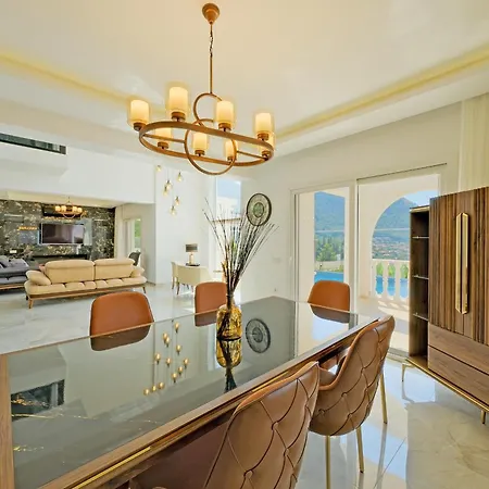 别墅 La Blanche 费特希耶